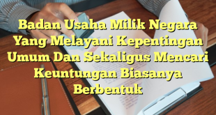 Badan Usaha Milik Negara Yang Melayani Kepentingan Umum Dan Sekaligus Mencari Keuntungan Biasanya Berbentuk